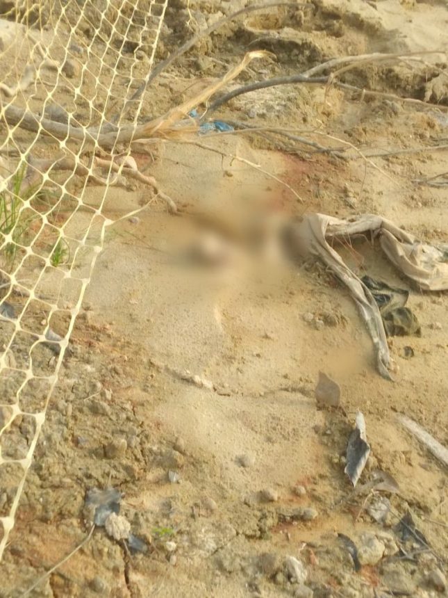 Moradores pedem ajuda para retirar ossada humana encontrada no Baixo Rio Branco