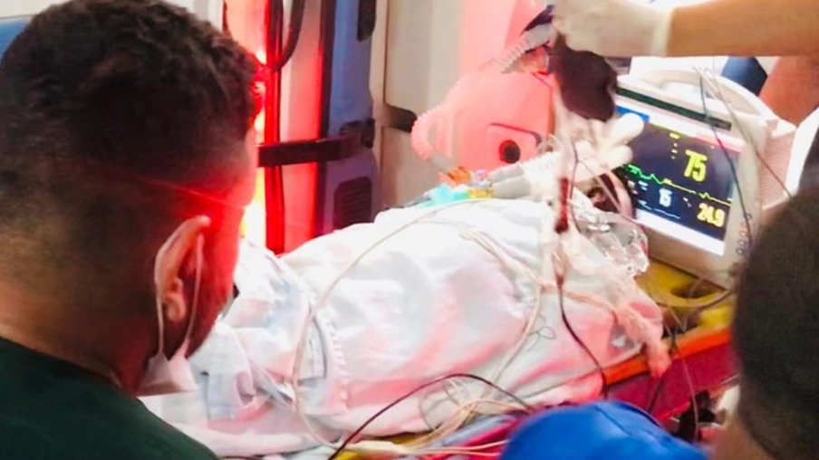 Criança de seis anos morre após ataque de Pitbull no quintal de casa