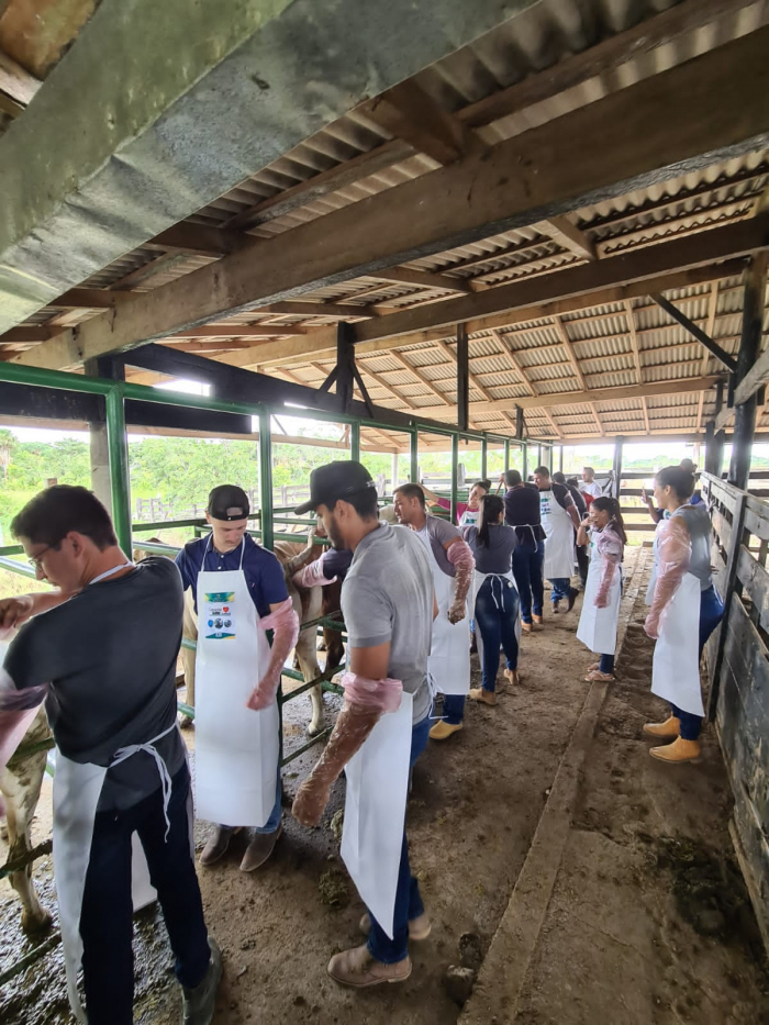 Governo ofertará mais de 3 mil vagas para cursos presenciais e EAD para os municípios de Roraima