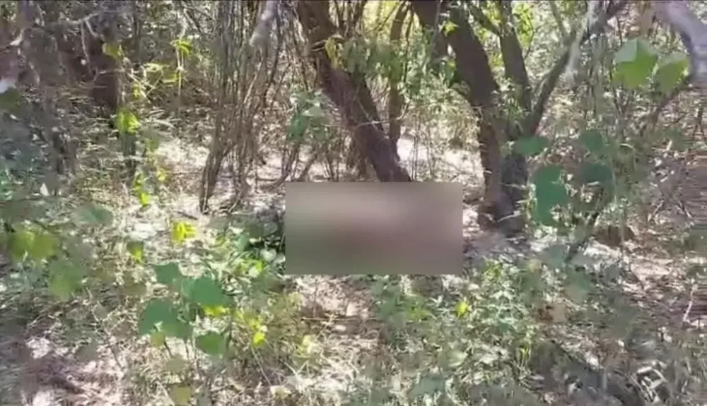 Corpo em Decomposição é Encontrado em Área de Mata na Normandia