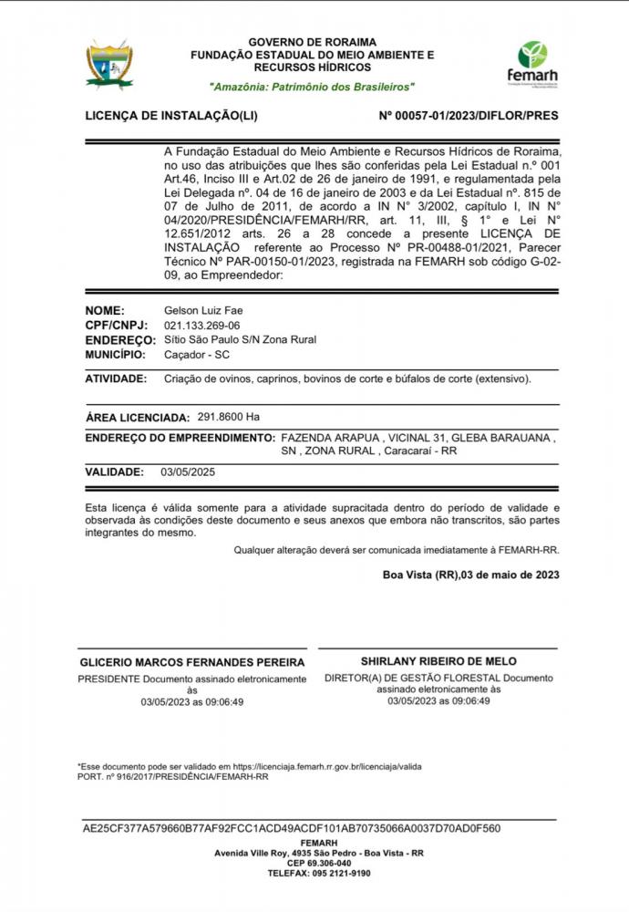 LICENÇA DE INSTALAÇÃO (LI)