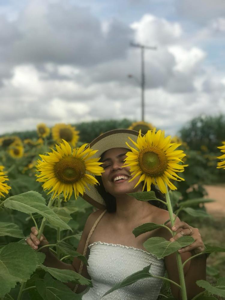 Campo de Girassóis será uma das atrações da AGROBV2023, aberto ao público durante os três dias do evento