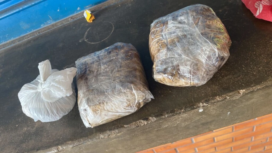 Casal e adolescente são presos com crack e maconha em abordagem a van na BR-210