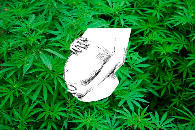 Legalização do aborto e maconha são algumas das prioridades do governo para os próximos quatro anos