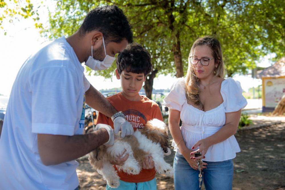 Boa Vista inicia Campanha de Vacinação Antirrábica para cães e gatos