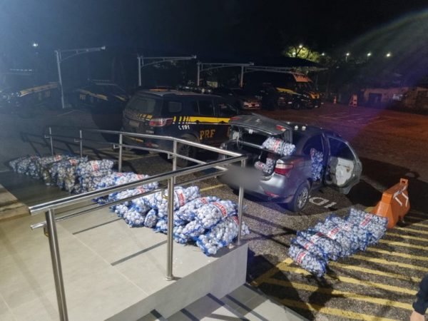 PRF apreende uma tonelada de alho e arma de fogo na BR-401 em Bonfim, Roraima